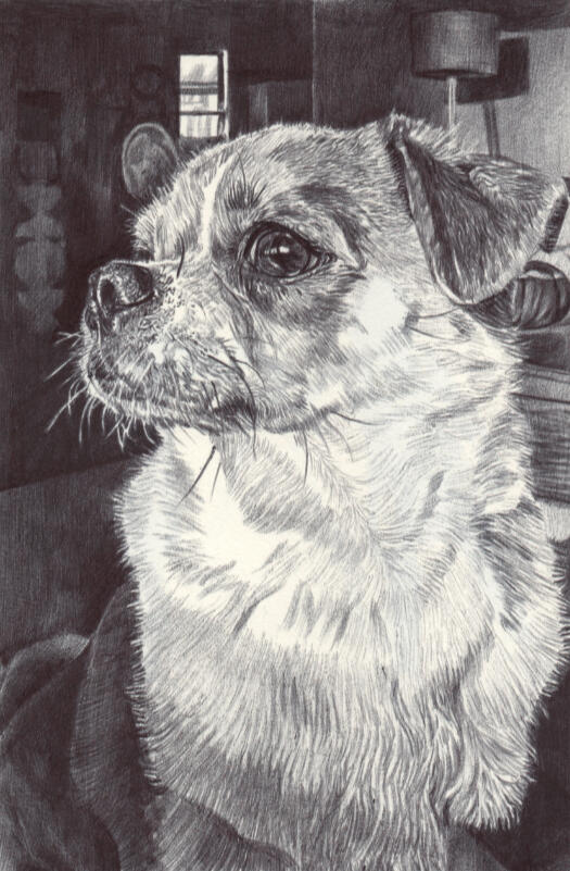 Portrait of Buddy