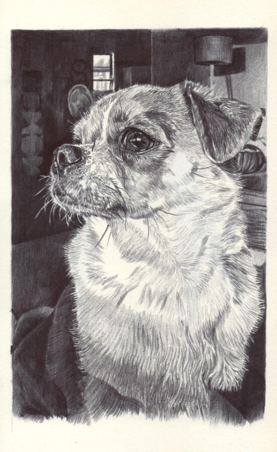 Portrait of Buddy